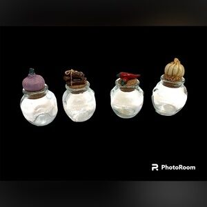 Glass Spice Jars Cork Lids Ceramic Food Knobs Barrel Jars Apothecary Set of 4